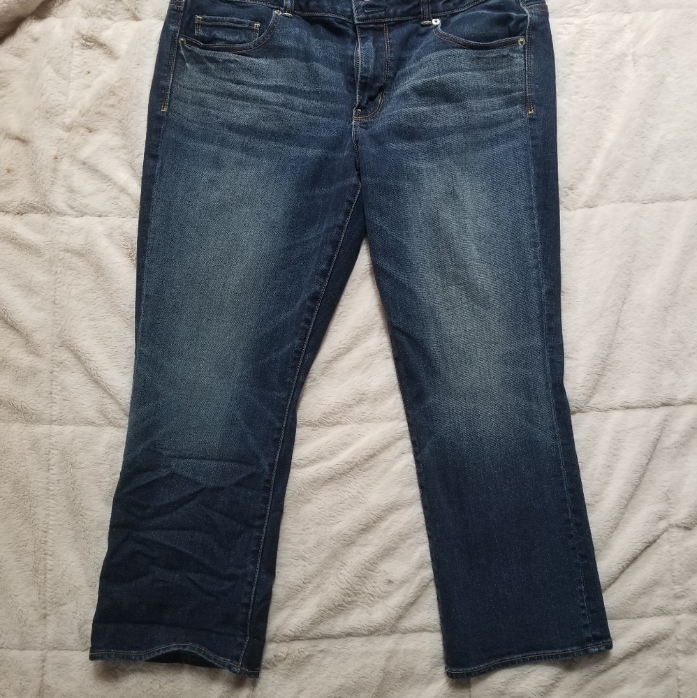 American Eagle Artist Crop Size 16